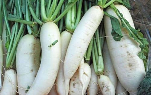 医生:萝卜和“此物”天敌,两者若同食激活癌细胞,很多人不知道