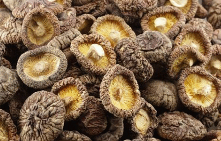 老中医提醒:香菇不能和此物一起吃,知道的人不多,你们知道吗?